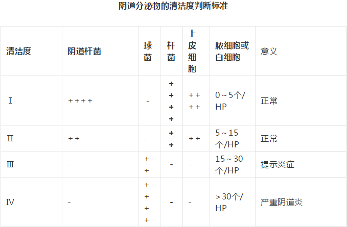 全自动阴道分泌物黄瓜视频成人A片免费观看剖析阴道分泌物的洁净度规范