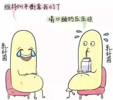 阴道分泌物在线观看黄瓜视频诊断阴道微生态状态的常用方法