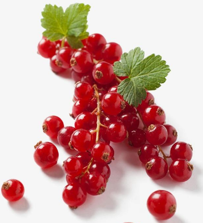 妇科六联检全自动仪器厂家黄瓜网站免费下载助你消炎排毒，远离妇科病