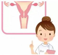 山东黄瓜网站免费下载gk全主动阴道分泌物黄瓜视频成人A片免费观看器设备凭仗自身技能赢得客户信赖
